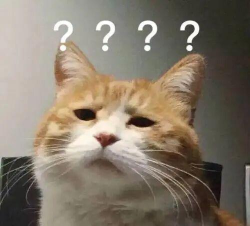 英雄联盟全球总决赛官网平台-饭圈的风吹到了网球 即便费德勒也得被喷！